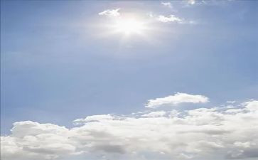 太阳和鱼读后感优质6篇