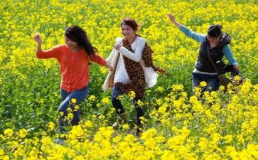 清明节踏青心得体会8篇