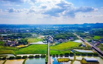 2024年特岗教师个人总结优秀7篇