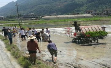 特岗辞职报告精选5篇