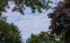 作文我的一片天空700字7篇