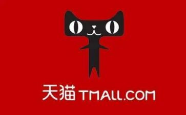天猫客服工作总结模板5篇