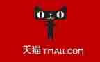 天猫客服工作总结模板5篇