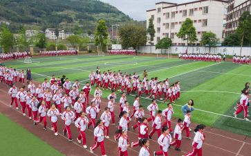 体育活动方案优质6篇