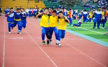 2024年幼儿园体育活动总结6篇
