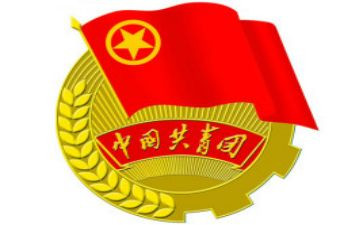 乡镇团委工作个人总结5篇