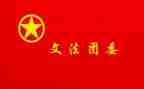 镇团委工作总结范文7篇