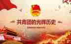 团支部对标总结报告6篇