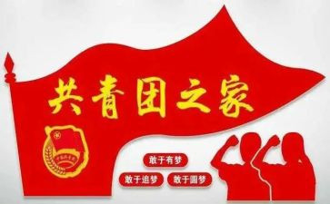 2024年团组织生活个人对照材料通用6篇