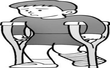 鹿的腿和脚的读后感参考7篇
