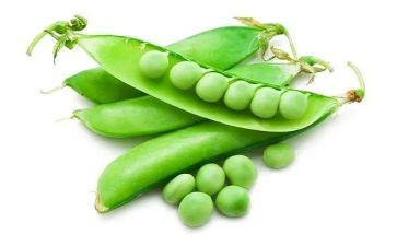 豌豆上的公主读后感8篇