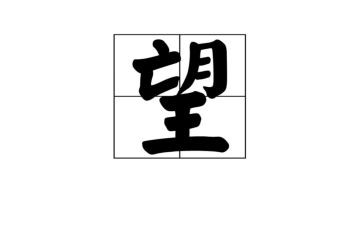 有愿望的作文通用6篇