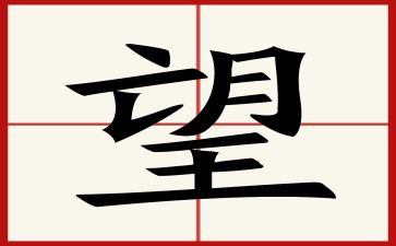 我渴望飞翔作文600字6篇