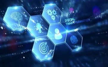 网络管理员月总结模板8篇