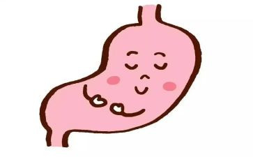 幼儿园关于胃的教案模板8篇