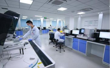 环境与卫生总结报告8篇