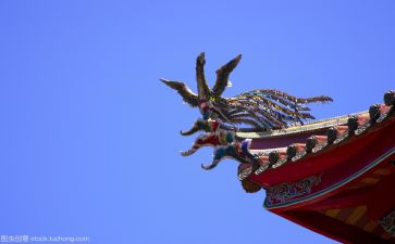 文化类的作文推荐7篇