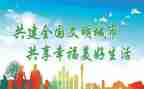 文明城志愿服务活动总结5篇