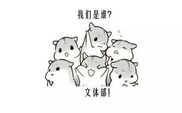 文体活动方案活动方案推荐5篇