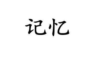 在我的记忆中作文参考8篇