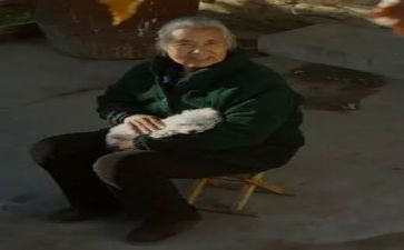 我的奶奶400字的作文8篇