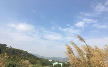 作文《我的一天》初一600字5篇