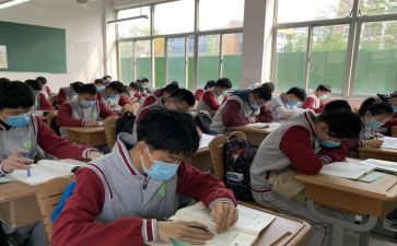 我们的班级树教案7篇