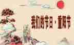 我们的节日活动总结范文6篇