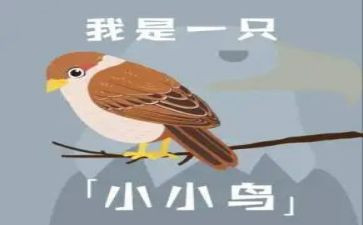小鸟小鸟教案推荐8篇