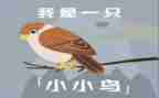 小鸟小鸟教案推荐8篇