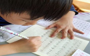 我想变成____作文300字6篇