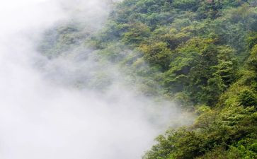 科学雾和霾教案精选7篇