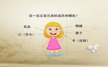 我五官的作文推荐7篇