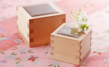 介绍物品的作文500字8篇