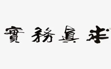 务实工作总结6篇