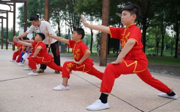 武术教学心得体会5篇