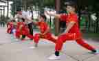 武术教学心得体会5篇