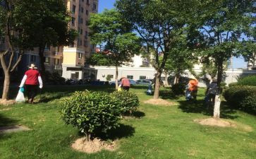 物业小区周工作计划5篇
