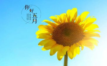 幼儿园中班五月工作计划5篇