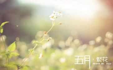 2024幼儿园大班五月份工作计划7篇