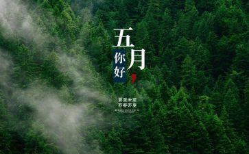 五月销售工作总结5篇