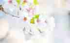 大班幼儿五月份工作计划7篇