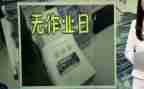 关于无作业日的作文7篇