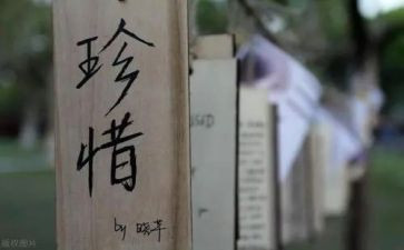 珍惜粮食的作文500字5篇