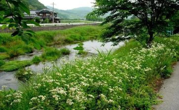 夏天的教案模板5篇