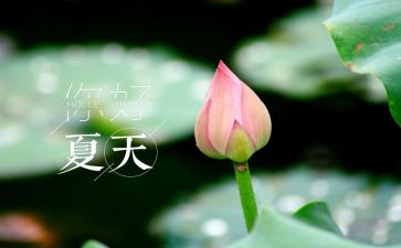 夏天有趣的事作文7篇