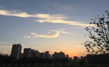 二年级下班级安全工作总结6篇