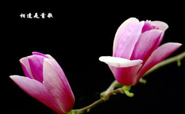 相逢优秀作文6篇