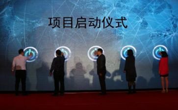 年终项目工作总结7篇