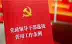 乡镇干部年度个人总结7篇